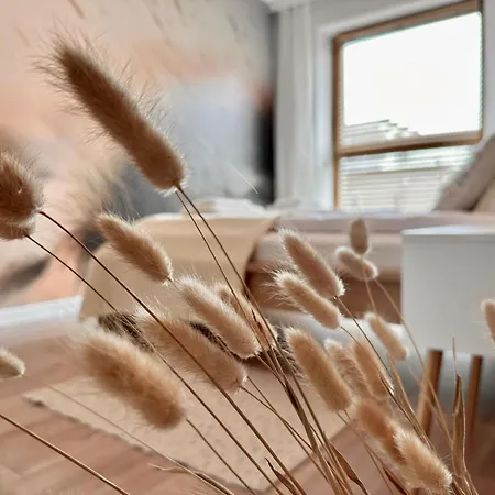 Harmony - Kapitanska Władysławowo