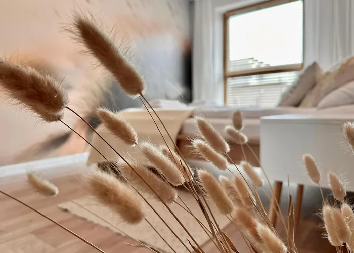 Harmony - Kapitanska Władysławowo